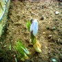 Image_00355