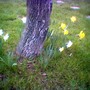 Image_00535