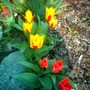 Image_00563