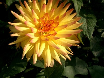IMGP4459.jpg