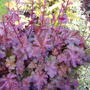Dscf1492