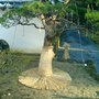 Picture_051