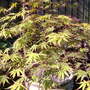 Dscf1473