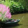 boat_centranthus.jpg