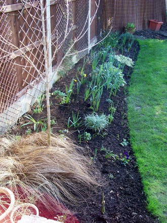 cottage_garden_bed_from_back.jpg