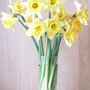 PRETTY????