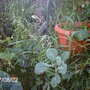 Imag0281