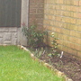 Dsc00948