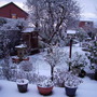 Snow at last.