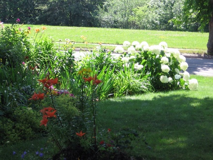 front garden
