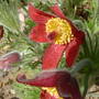 Dscf0010