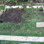 vegetable plot 1a