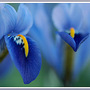 Dsc_1420_filteredsmall2