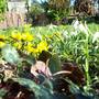 Winter Flowers......