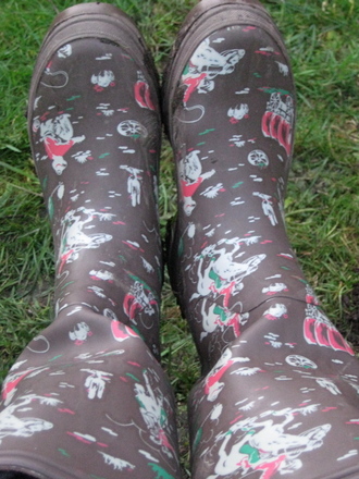 ooh new boots