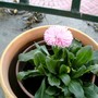Pict0056