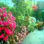 Image_000851