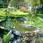 Pond just made