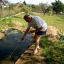 Fishing for tadpoles