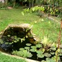 IMGP4325.jpg