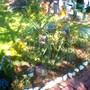 Image_00614