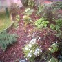 Image_00784