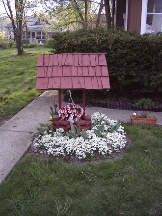 Rock cress around the wishing well in May
