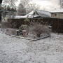 The back garden in January