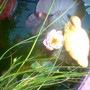 Image_00692