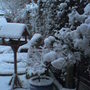 Bird_table_in_snow