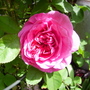 Captured_2007-5-18_00001
