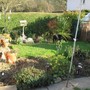 Spring_sunshine