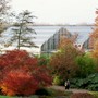 glass_house_1.jpg