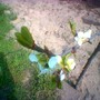 Image_00565