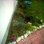 Image_00786