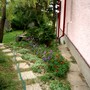 Imgp4283