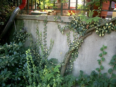 Oct 2007