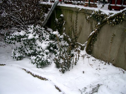 Jan 2008