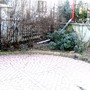 Pict0086