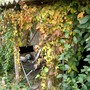 Imgp4468
