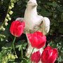 Eagle Statue ~ Tulips !