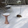 2008-02-16_morning_visitor