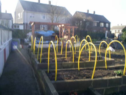 raised beds  