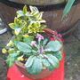 P1000029.jpg