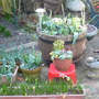 P1000030.jpg