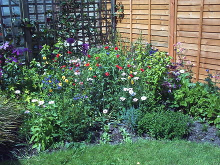 My Garden