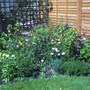 My Garden