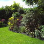 A garden flower photo