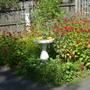 Cherub garden