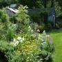 Back Yard View - June 2007